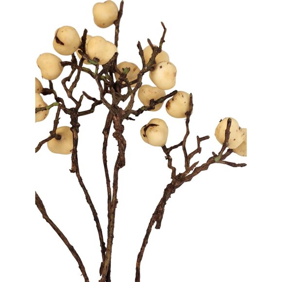 Artificial White Berry Stems 10" 5 Stem Bundle Rustic Floral Arrangement Decor - Picture 5 of 7